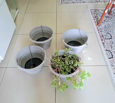 Set of 4 Hanging Plant Pots (3 unused + 1 with succulent) - Light Grey