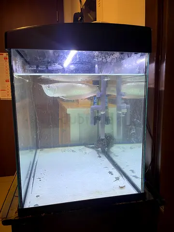 Aquarium for sale