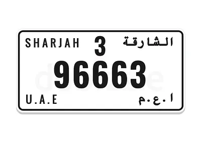 96663