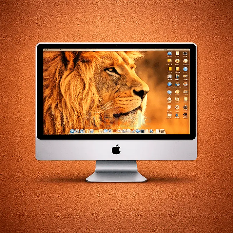 gallery-image