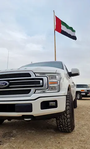 2019 FORD F-150 照片 8