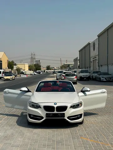 2015 BMW 2-SERIES 照片 17