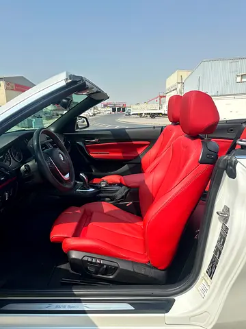 2015 BMW 2-SERIES 照片 18