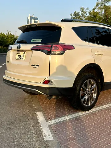 2017 Toyota RAV 4 照片 15