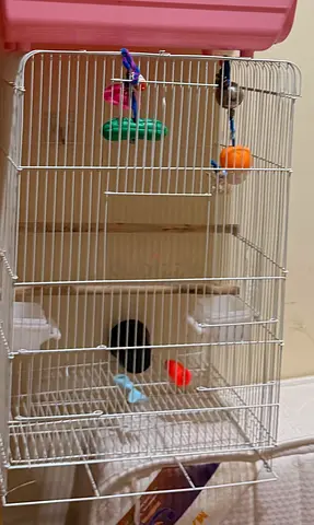 Bird cage