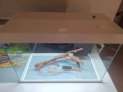 80cm Glass Aquarium Tank with filtration, pump, heater, hood and LED lighting