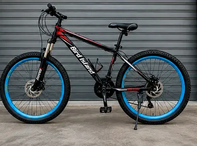 Bird Island Mountain Bike with Front Suspension and Disc Brakes - Good Condition
