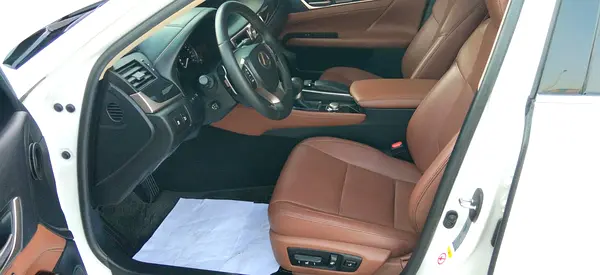 صورة 16 لـ 2015 Lexus GS-SERIES