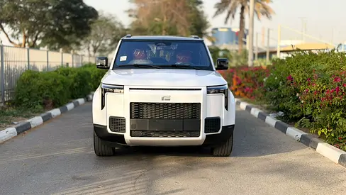 Rox 01 VIP 2026 | Brand New | Luxury 6-Seater | Chinese Specs
