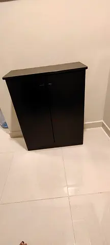 Black two-door shoe rack