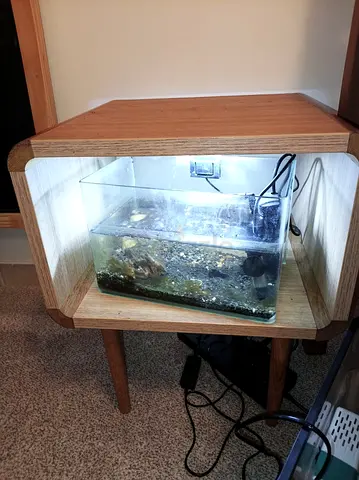 Small glass aquarium with stand and LED light - used. Fish is also included
