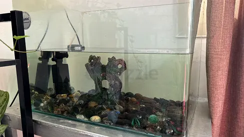 30-40L Glass Fish Tank with Filter and Gravel (Used)