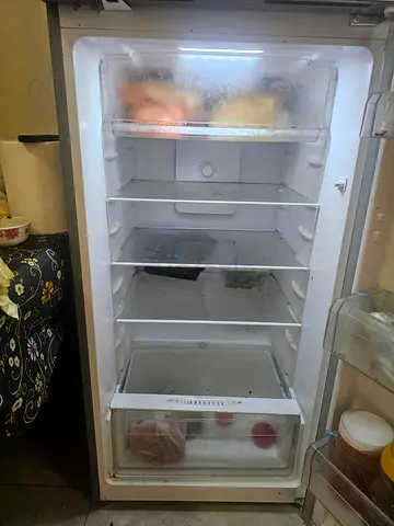Single-door Upright Refrigerator / Freezer - Good Working Condition