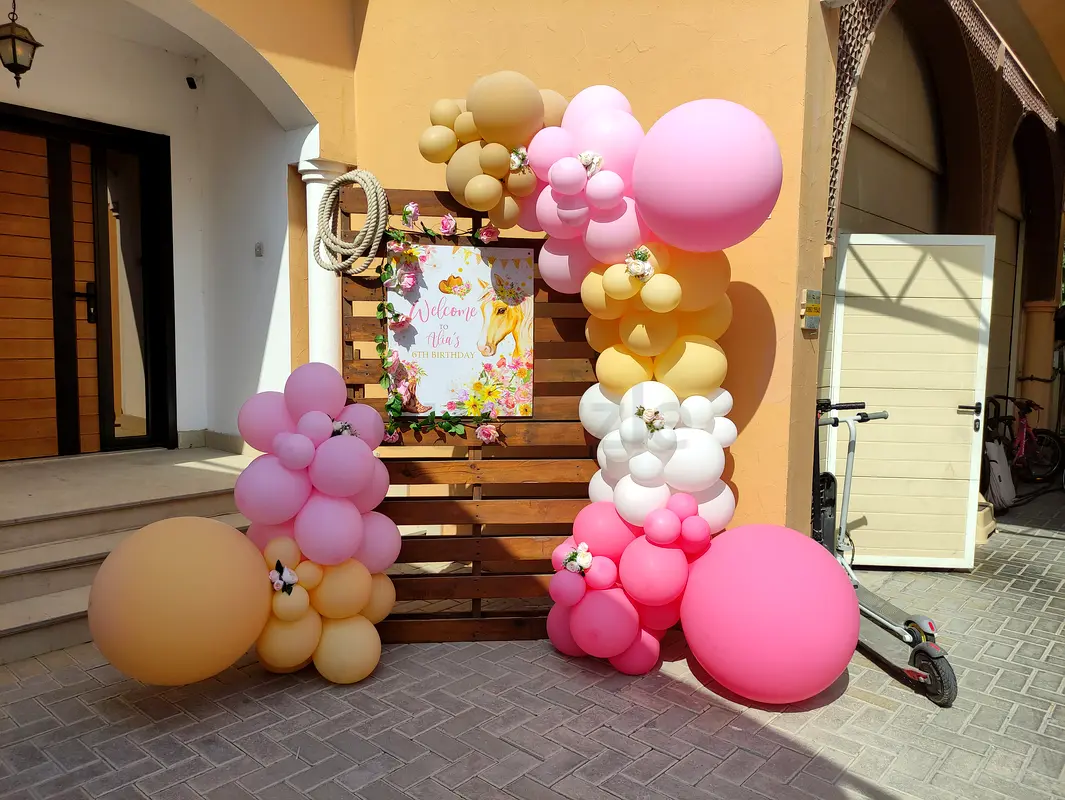DPV_View_Image_2