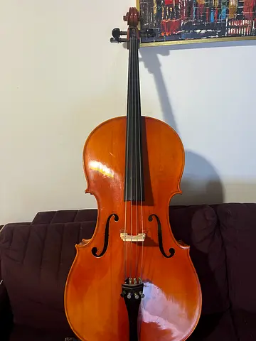 Ritmüller
ARTICLE CELLO
MODEL NO
H033
4/4