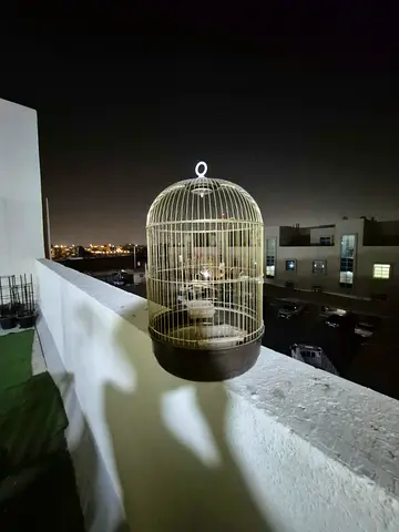 Small vintage-style round bird cage with stand (used)  good for parrot and small birds