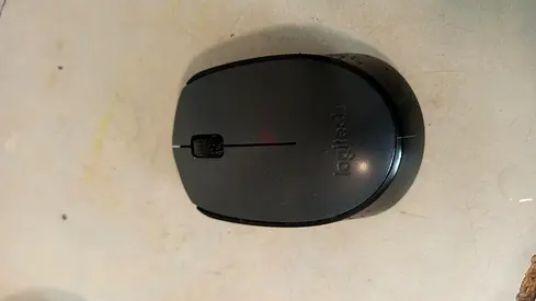 Logitech mouse