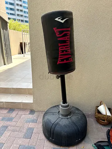 Everlast Boxing Bag
