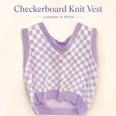 Stradivarius Purple Checkered Sweater Vest Size S💜🤍