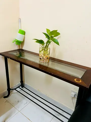 Console Table wood Metal and Glass