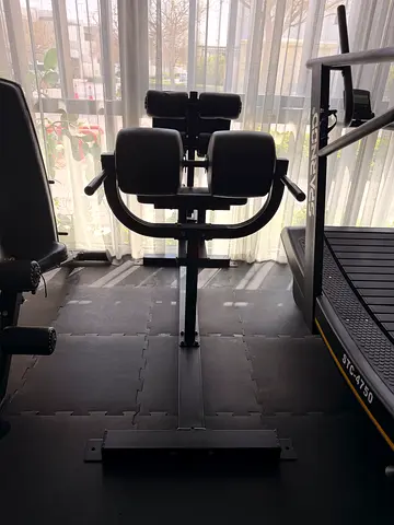 Professional Ab & Core Workout / GHD Exercise Machine