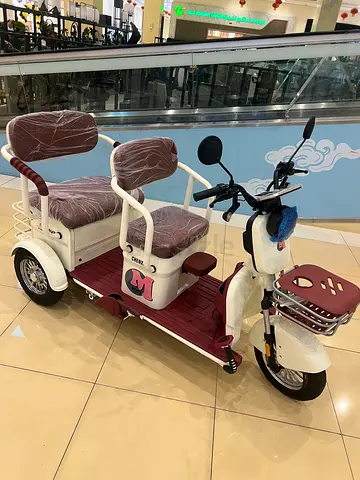 Tri electric scooter
