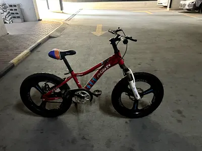 Phoenix Red Children's Bicycle with Mag Wheels