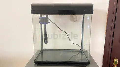 Aquarium 6 gallon with brand new water pump and air pump