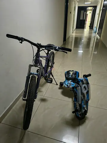 Mountain bike with kids' electric tricycle - used, good working condition