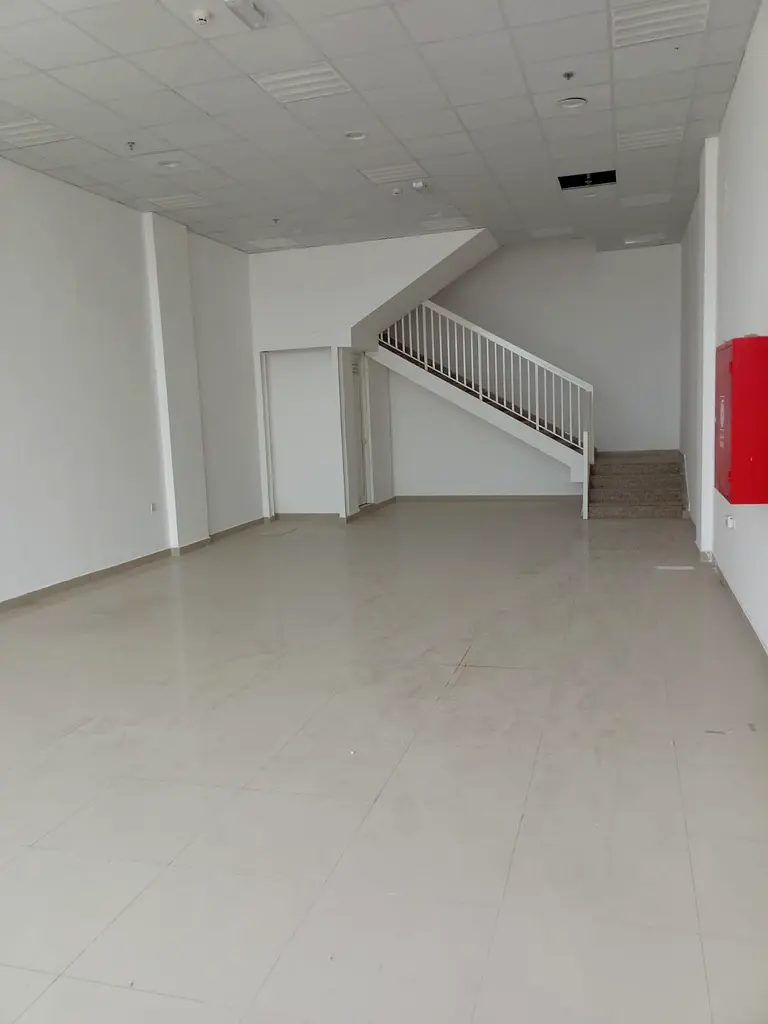 gallery-image