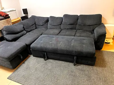 Danube Home sofa cum bed