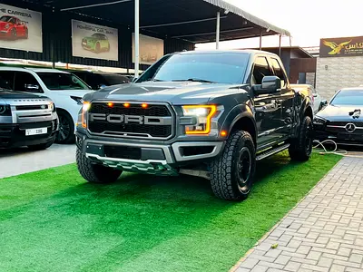 2017 FORD F-150 照片 11