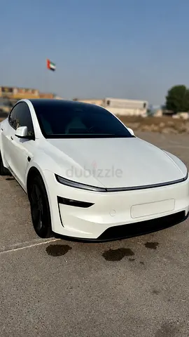 Tesla model Y Duel motor black headliner