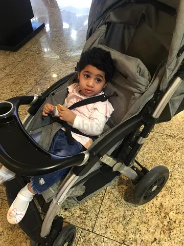 Well-used single stroller in good working condition