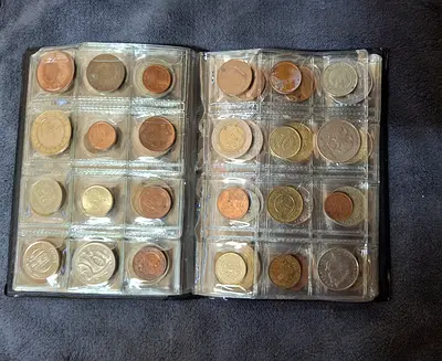 Assorted International Coin Collection in Storage Binder