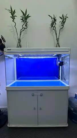 Aquarium for sale