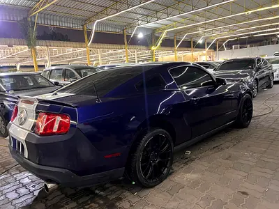 2010 FORD MUSTANG MACH-E 照片 12