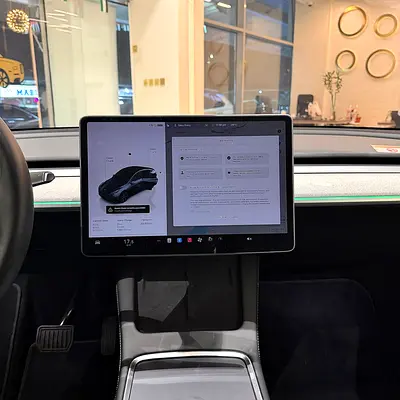2024 Tesla Model Y Standard — zdjęcie 11