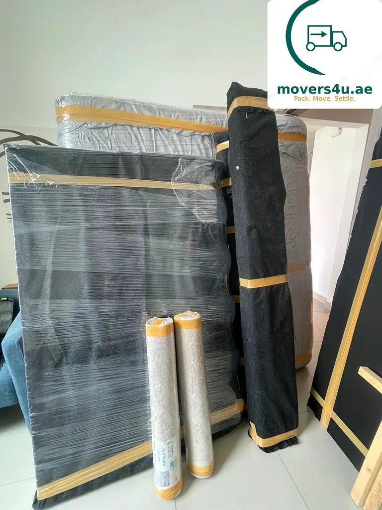 DPV_View_Image_5