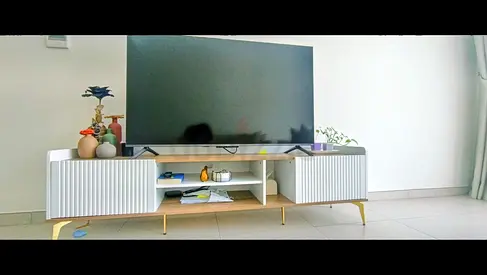 TV unit