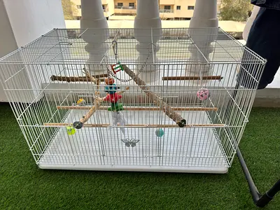 White metal bird cage with perches and toys, good condition