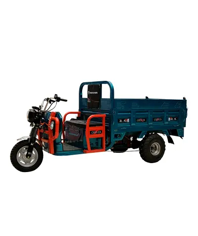 1.6 MTR Heavy Duty Tri-wheel Tuk-Tuk Cargo E-Bike | Max Load Capacity 600 Kgs