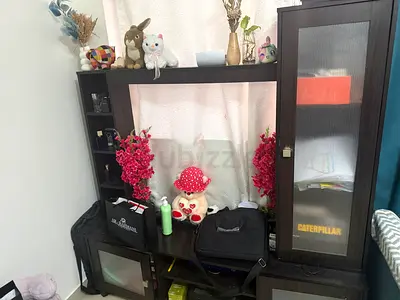 TV stand