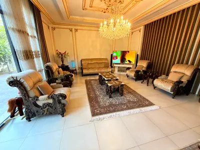 طقم ضيوف خشب حفر زان
