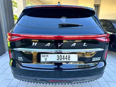 Haval H6 Supreme, миниатюра 4