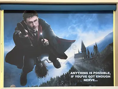 Window Blind - Harry Potter Themed