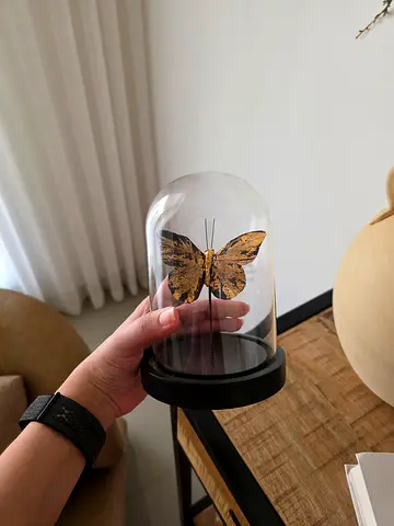 Decorative glass dome with gold butterfly on black base