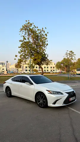 صورة 2 لـ 2023 Lexus ES-SERIES