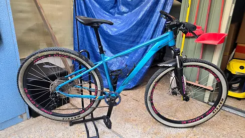 Silverback mtb 29