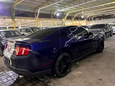 2010 FORD MUSTANG MACH-E 照片 9